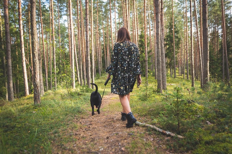 Guided Nature Walks